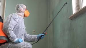 Best Commercial Mold Inspection  in Highlands, NJ